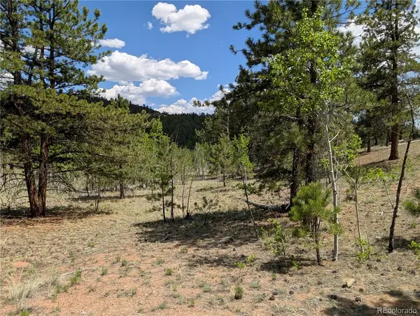 2053 Badger Creek RD, Hartsel, CO 80449