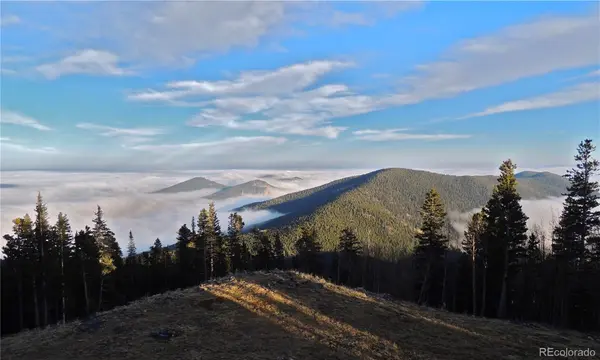 1539 Raven Ridge RD, Idaho Springs, CO 80452