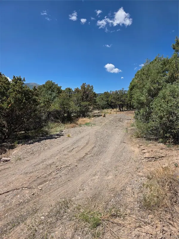 163 Loveland Pass RD, South Fork, CO 81154