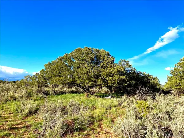 2907 County Road 128, Hesperus, CO 81326