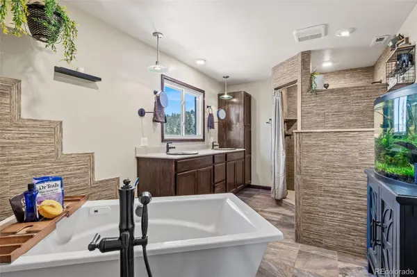 1738 Wildhorn RD, Florissant, CO 80816