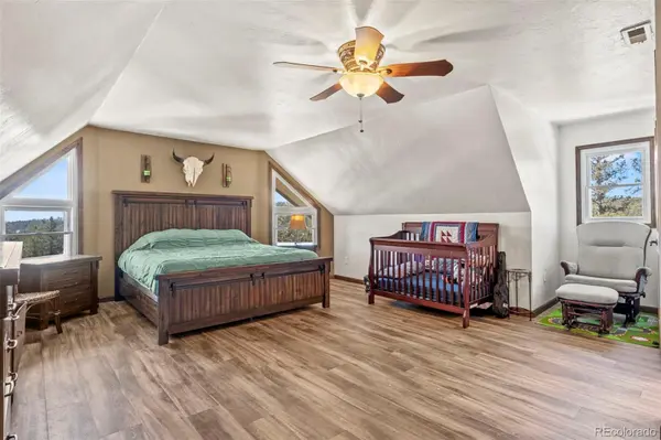 1738 Wildhorn RD, Florissant, CO 80816