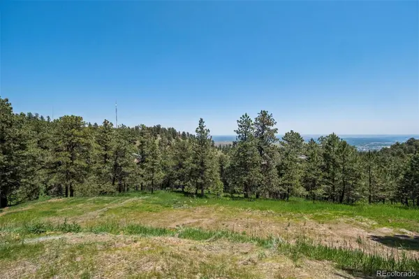 298 Parkview AVE, Golden, CO 80401
