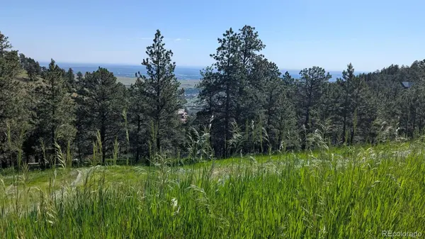 298 Parkview AVE, Golden, CO 80401