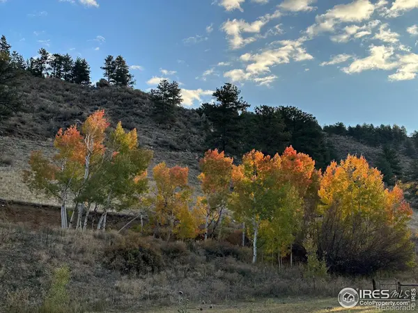 50481 US Highway 285, Grant, CO 80448