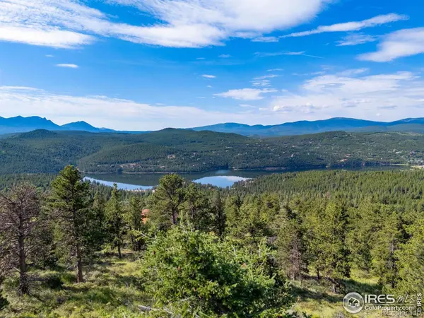 1445 Ridge RD, Nederland, CO 80466