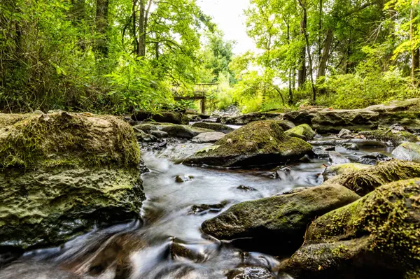 0 Horton Hwy, College Grove, TN 37046