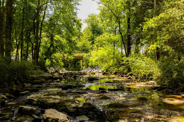 0 Horton Hwy, College Grove, TN 37046