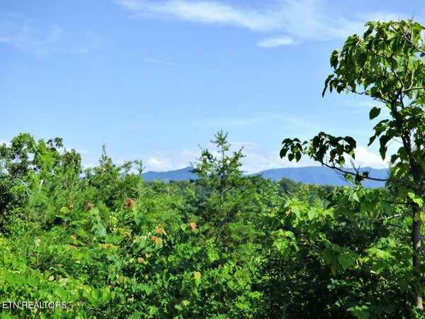 32 Tranquility Tr, Dandridge, TN 37725