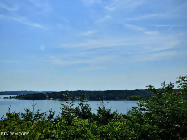 32 Tranquility Tr, Dandridge, TN 37725