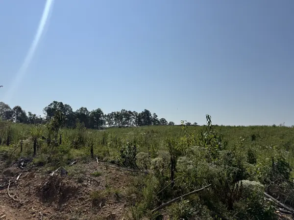 0 Linden HWY, Hohenwald, TN 38462