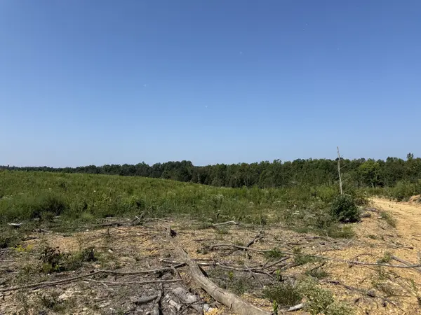 0 Linden HWY, Hohenwald, TN 38462