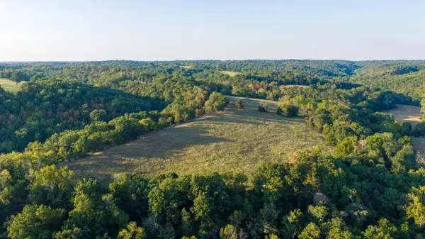 0000 State Highway 90, Washburn, MO 65772