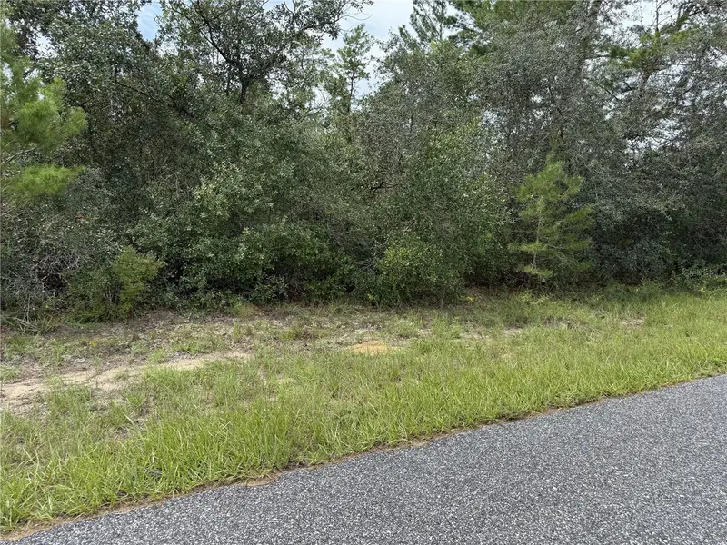 4282 W THRUSH DR, Citrus Springs, FL 34433