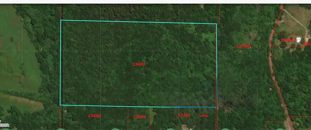 TBD CR 4510, Winnsboro, TX 75494