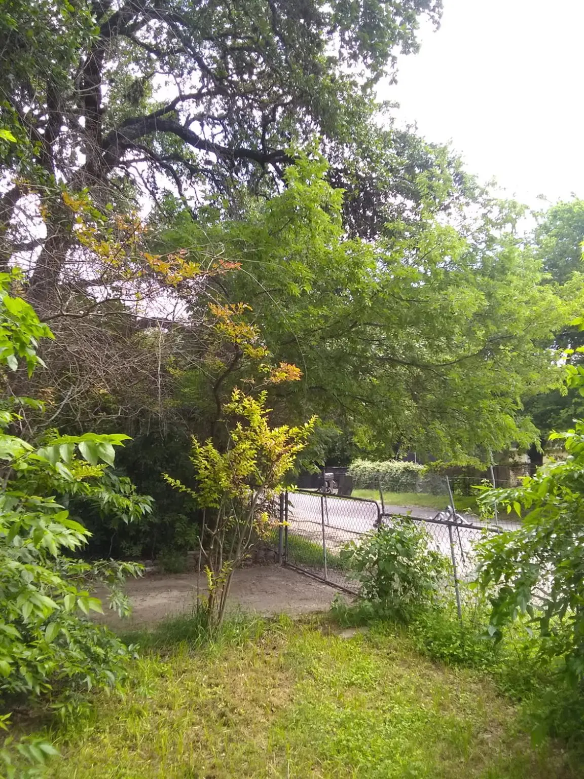 8002 Persimmon TRL, Austin, TX 78745