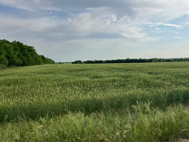 TBD Tract 3C Airville RD, Temple, TX 76501
