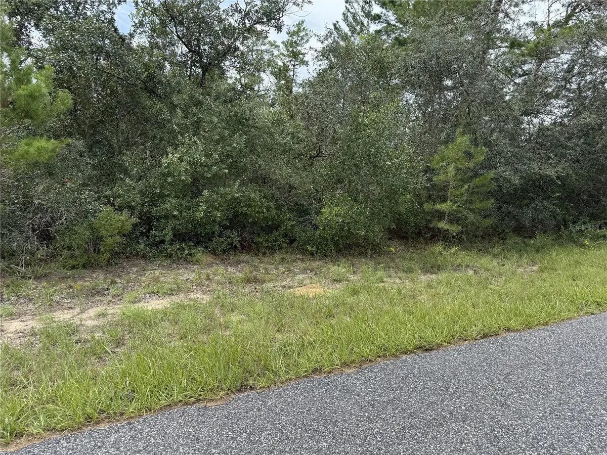 4282 W THRUSH DR, Citrus Springs, FL 34433