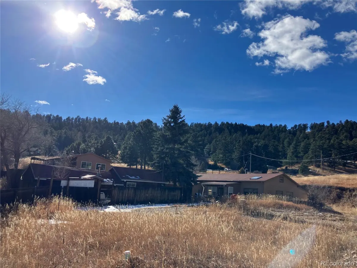211 Black Birch RD, Golden, CO 80401