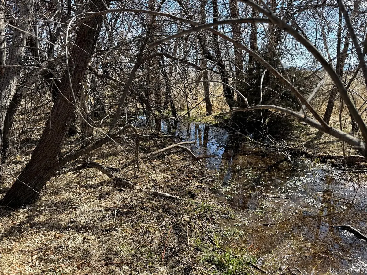 00 2nd Street, Alamosa, CO 81101
