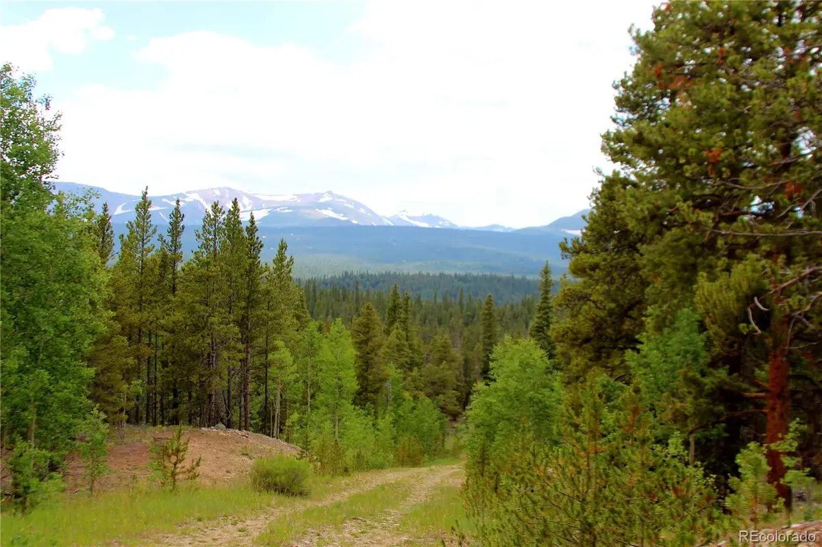 Glacier Ridge RD, Alma, CO 80420