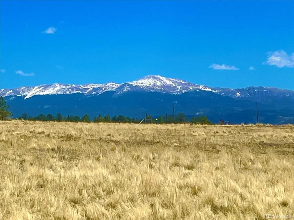 90 Meadow LN, Guffey, CO 80820