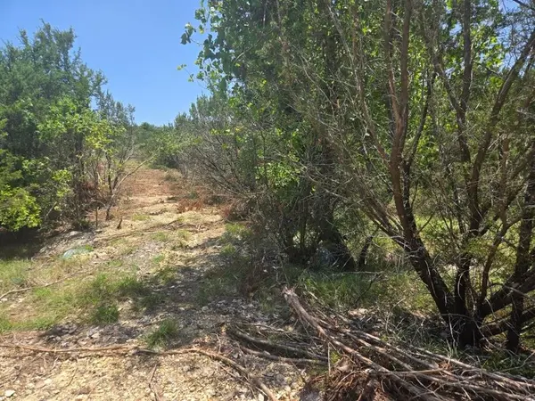 TBD Lighthouse Drive, Bluff Dale, TX 76433