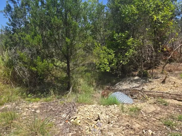 TBD Lighthouse Drive, Bluff Dale, TX 76433