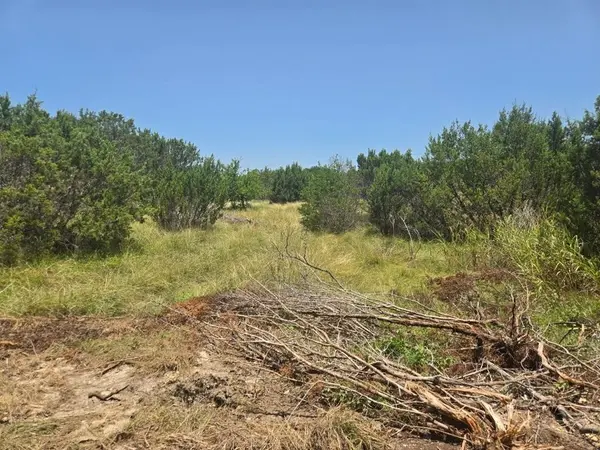 TBD Lighthouse Drive, Bluff Dale, TX 76433