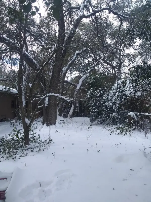 8002 Persimmon TRL, Austin, TX 78745