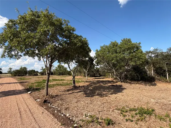 7257 CR 252, Bertram, TX 78605