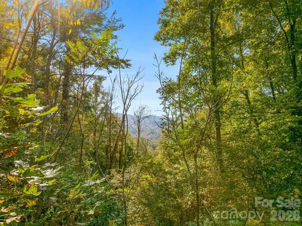 TBD Laurel HTS #35, Marshall, NC 28753