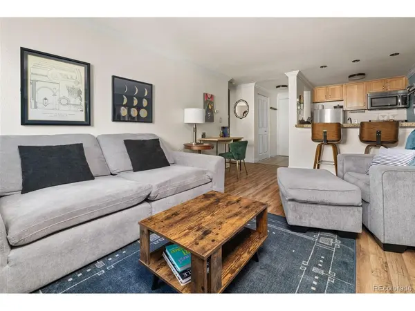 1125 N Washington #405, Denver, CO 80203