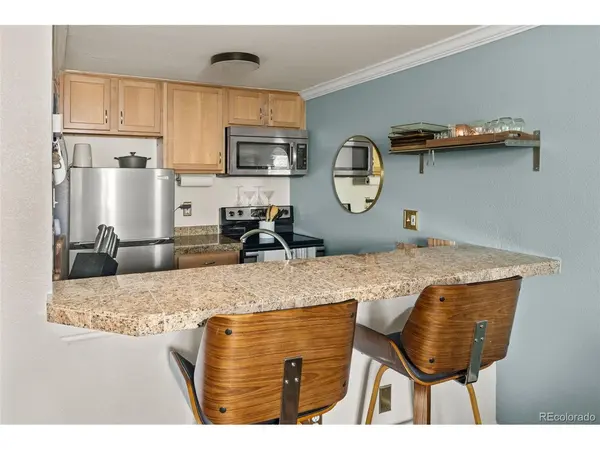 1125 N Washington #405, Denver, CO 80203