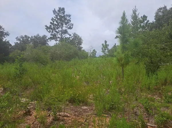 00 SE 125TH CT, Dunnellon, FL 34431