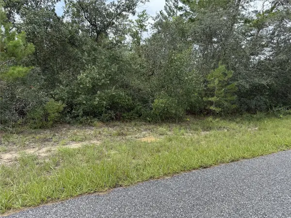4282 W THRUSH DR, Citrus Springs, FL 34433