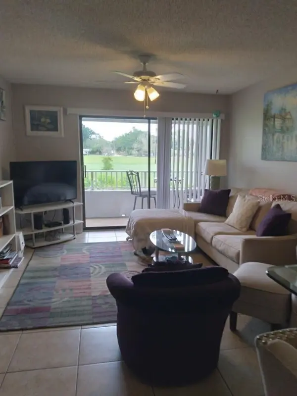 2117 LAKEWOOD CLUB DR S #O, St Petersburg, FL 33712