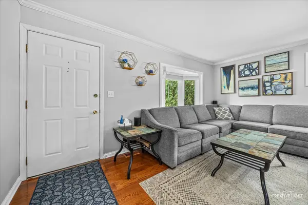 165 Pine Tree ROW, Lake Zurich, IL 60047
