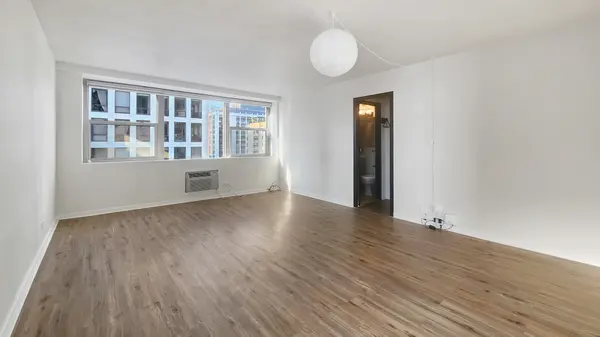 253 E Delaware PL #20B, Chicago, IL 60611
