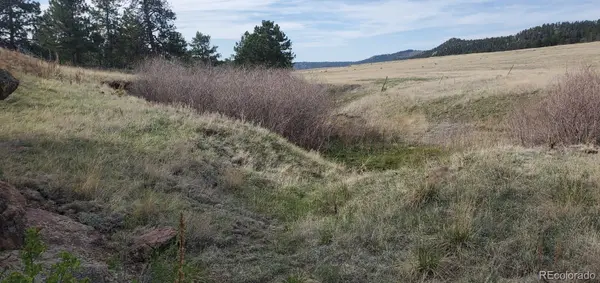 466 Spring Valley DR, Florissant, CO 80816