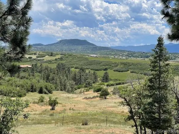 2938 Wolfensberger RD,  Sedalia,  CO 80135