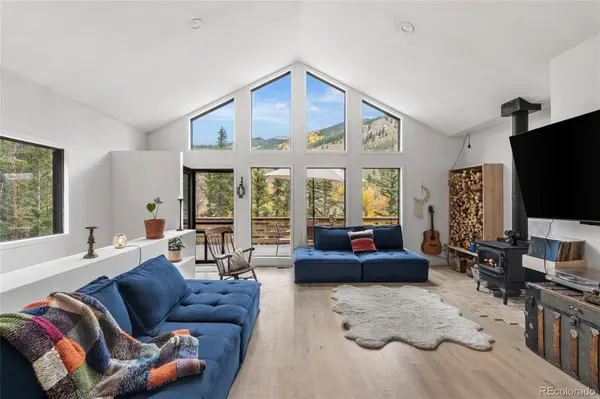 220 N Fork RD, Grant, CO 80448