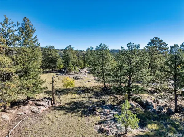 71 Pine CIR, Guffey, CO 80820