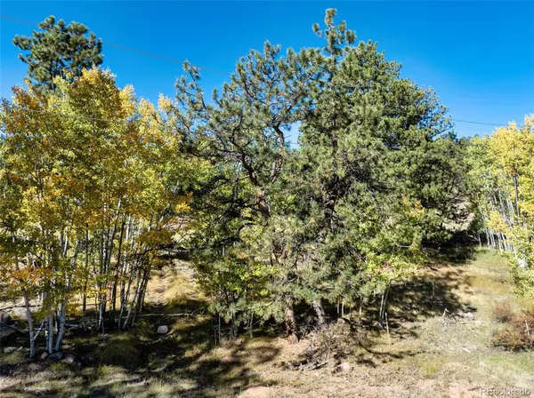 71 Pine CIR, Guffey, CO 80820
