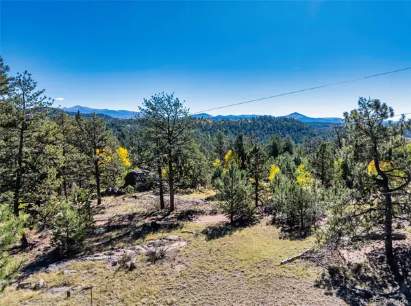 71 Pine CIR, Guffey, CO 80820