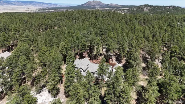1767 Cinnamon RD, Larkspur, CO 80118
