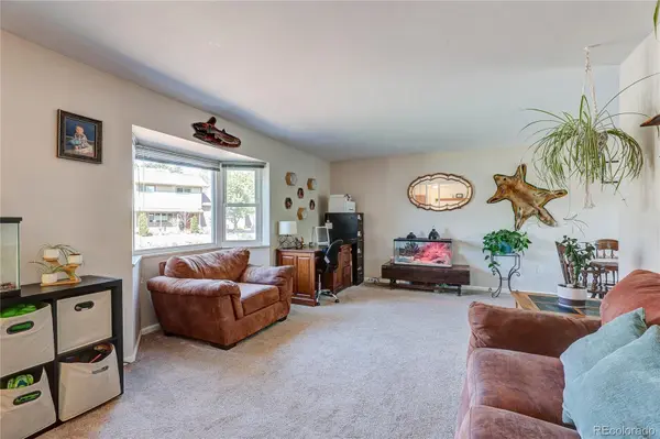 182 Johnson DR, Castle Rock, CO 80104