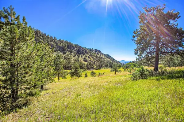 14334 Reserve RD, Pine, CO 80470