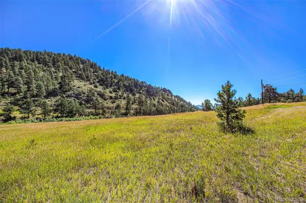 14334 Reserve RD, Pine, CO 80470