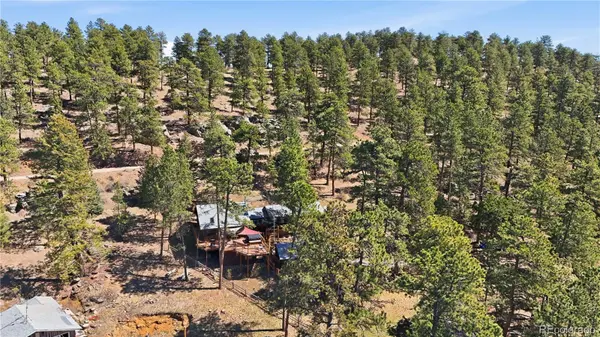 27407 Upper Cold Spg Gulch RD, Golden, CO 80401